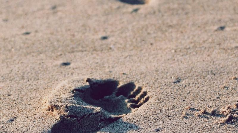 Ruby Hall Clinic - Updated